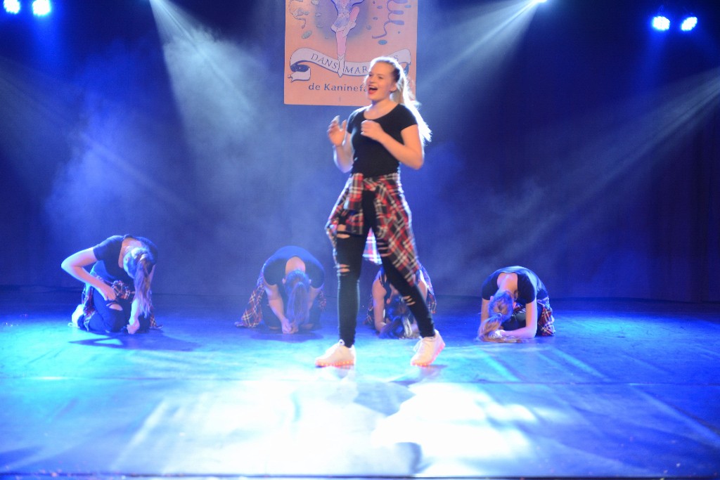 ../Images/Dansmarieke Festival 2016 404.jpg